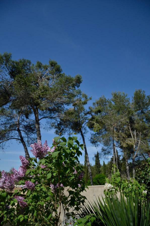 Villa Mas du Puech Clapas à Assas Extérieur photo