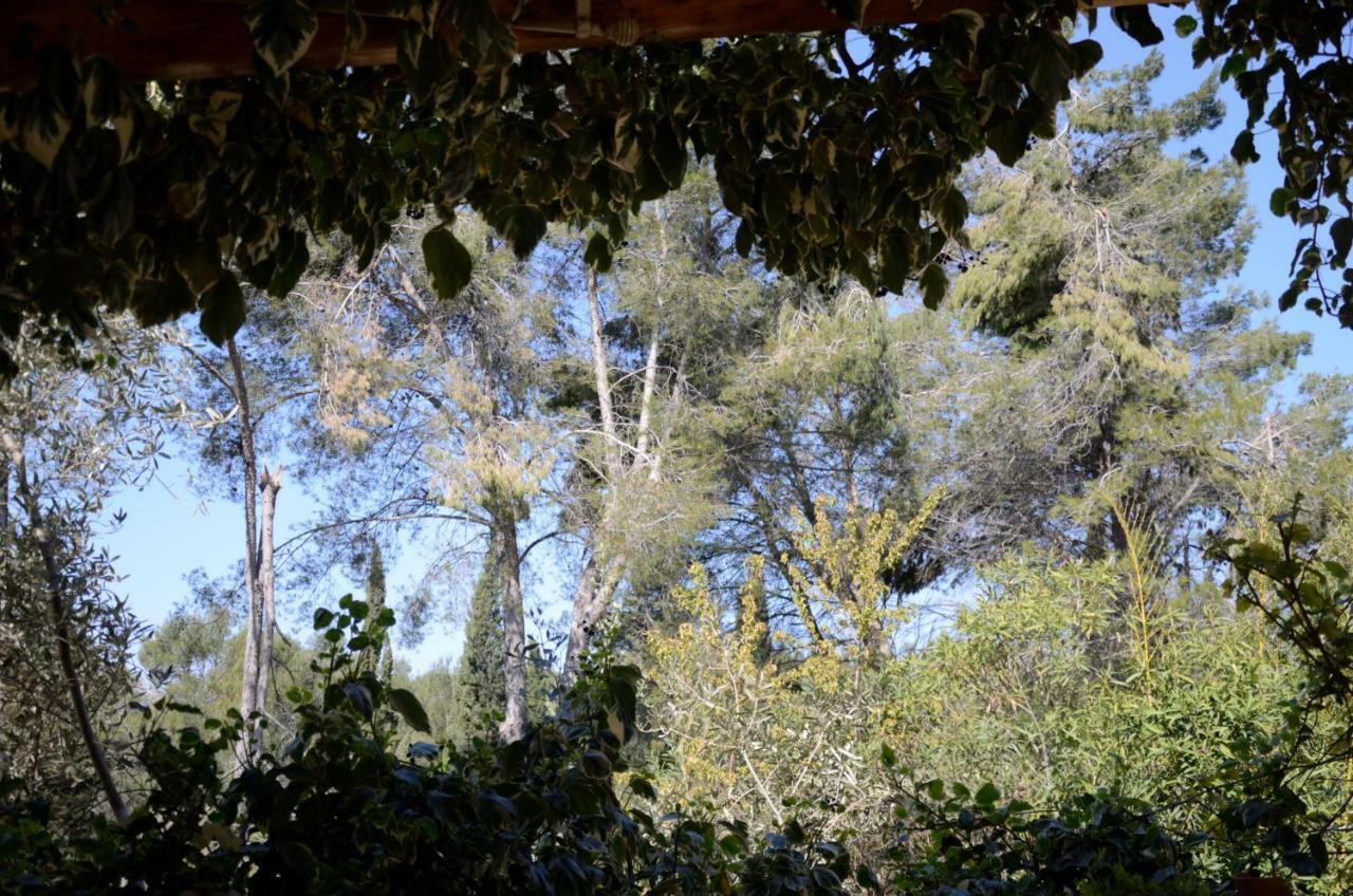 Villa Mas du Puech Clapas à Assas Extérieur photo